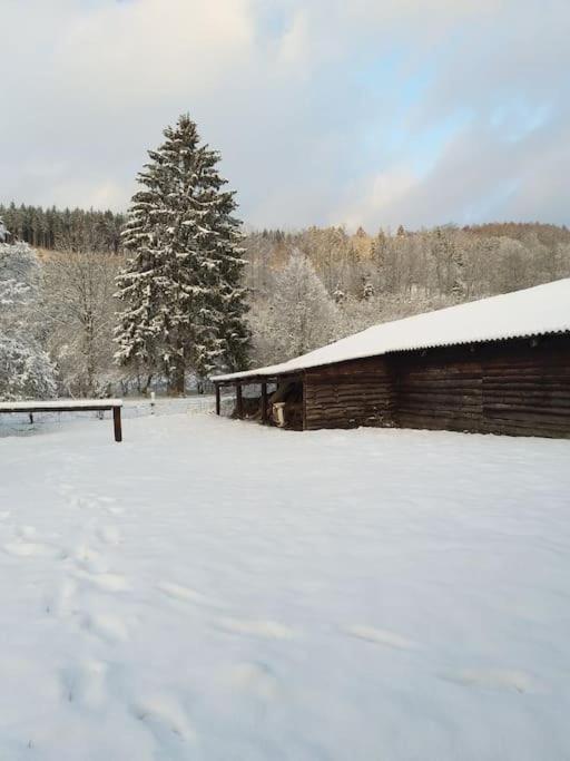 Charmante Maison De Caractere A 2Km De Redu Libin Exterior foto